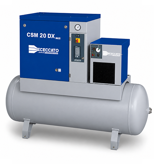 CSM20